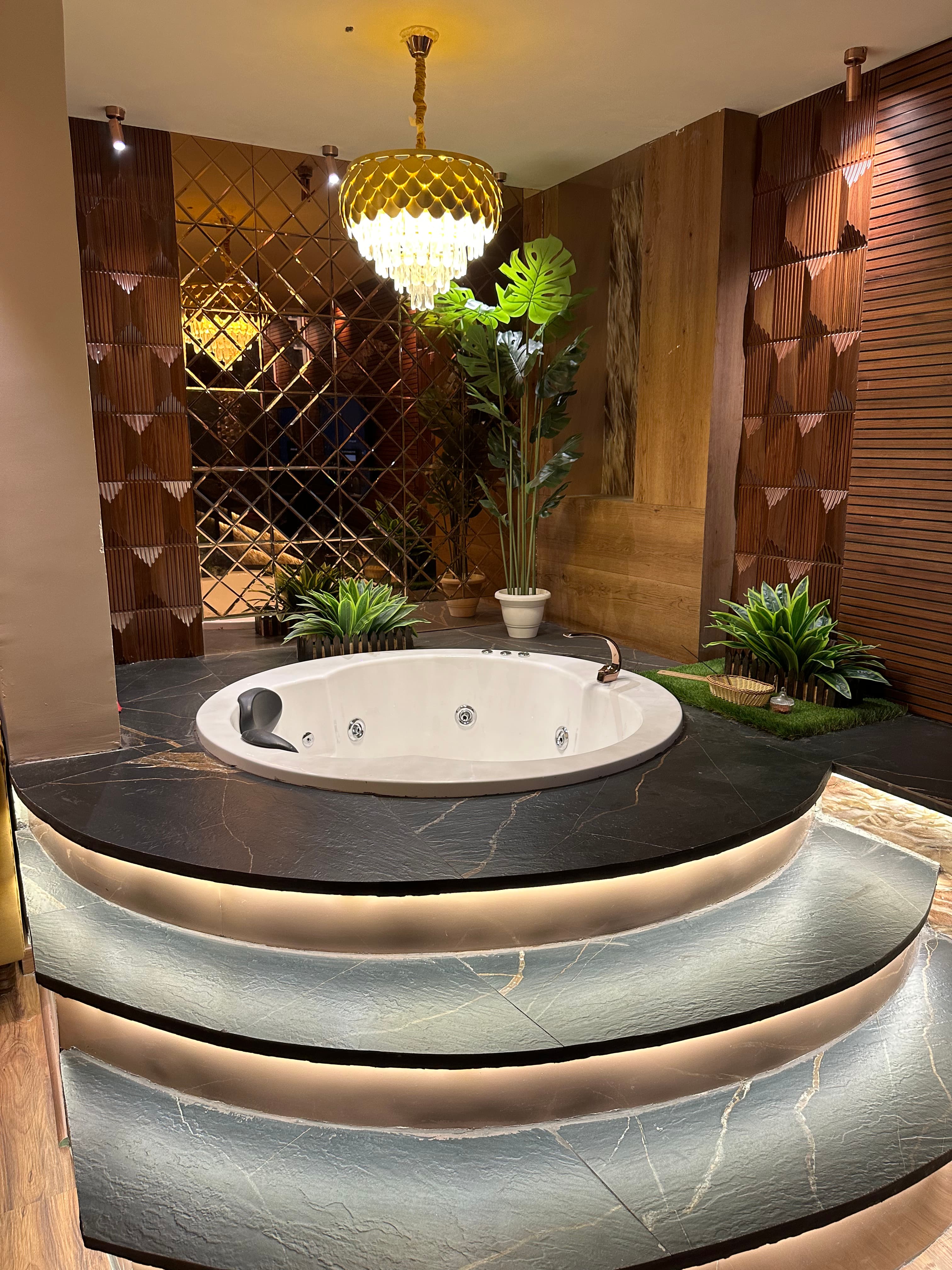 Dream Desire image 10